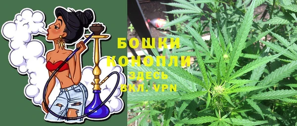 кокс Арсеньев