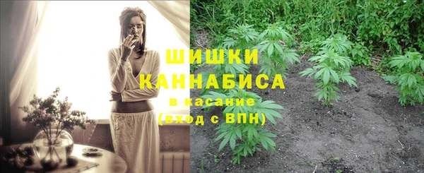 кокс Арсеньев