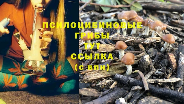 марки nbome Армянск