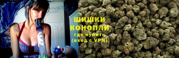 кокс Арсеньев